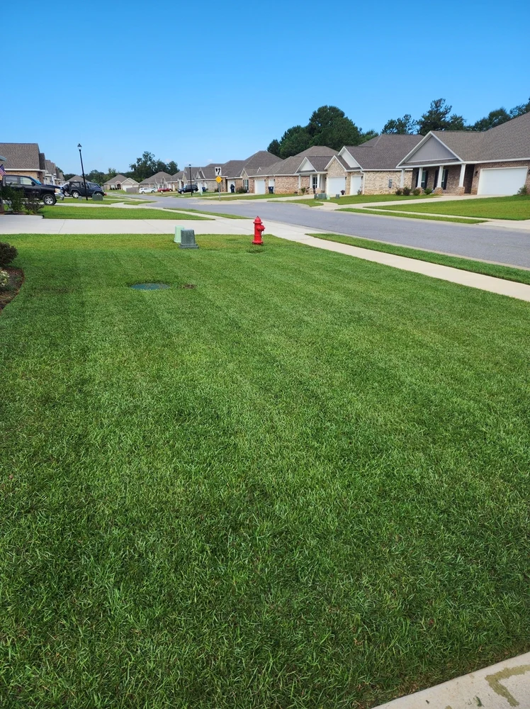 Bermuda grass lawn in Jacksonville, FL
